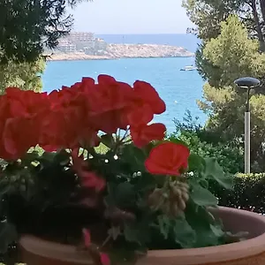 & Flowers Free Parking , Salou Espagne